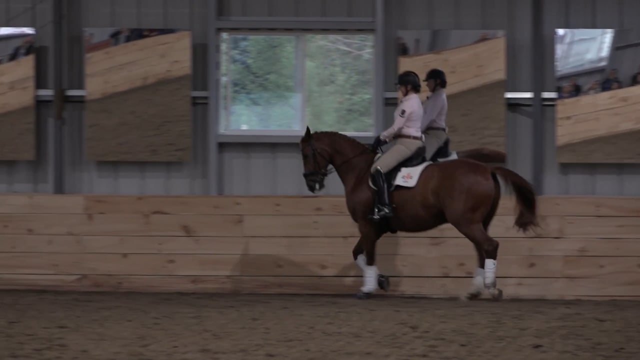 Prix St Georges Schooling Passage and Piaffe | Laura Graves