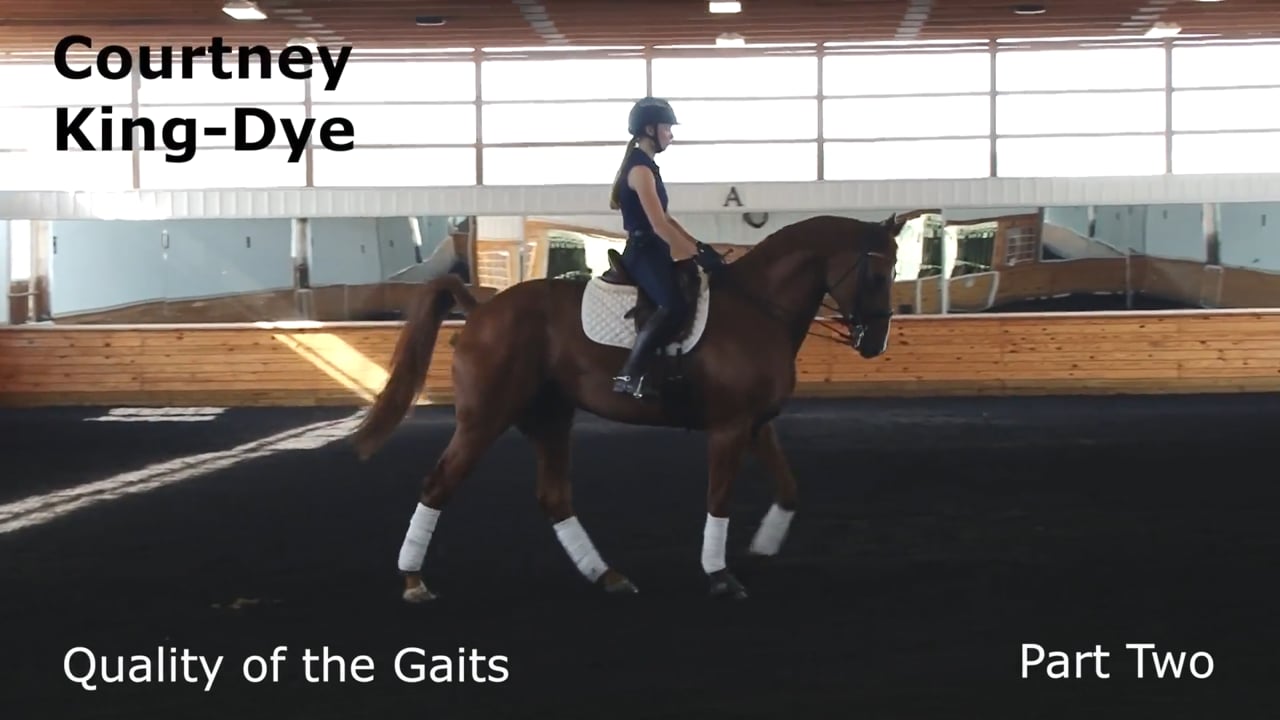 Quality of the Gaits | Courtney King-Dye | PART 02