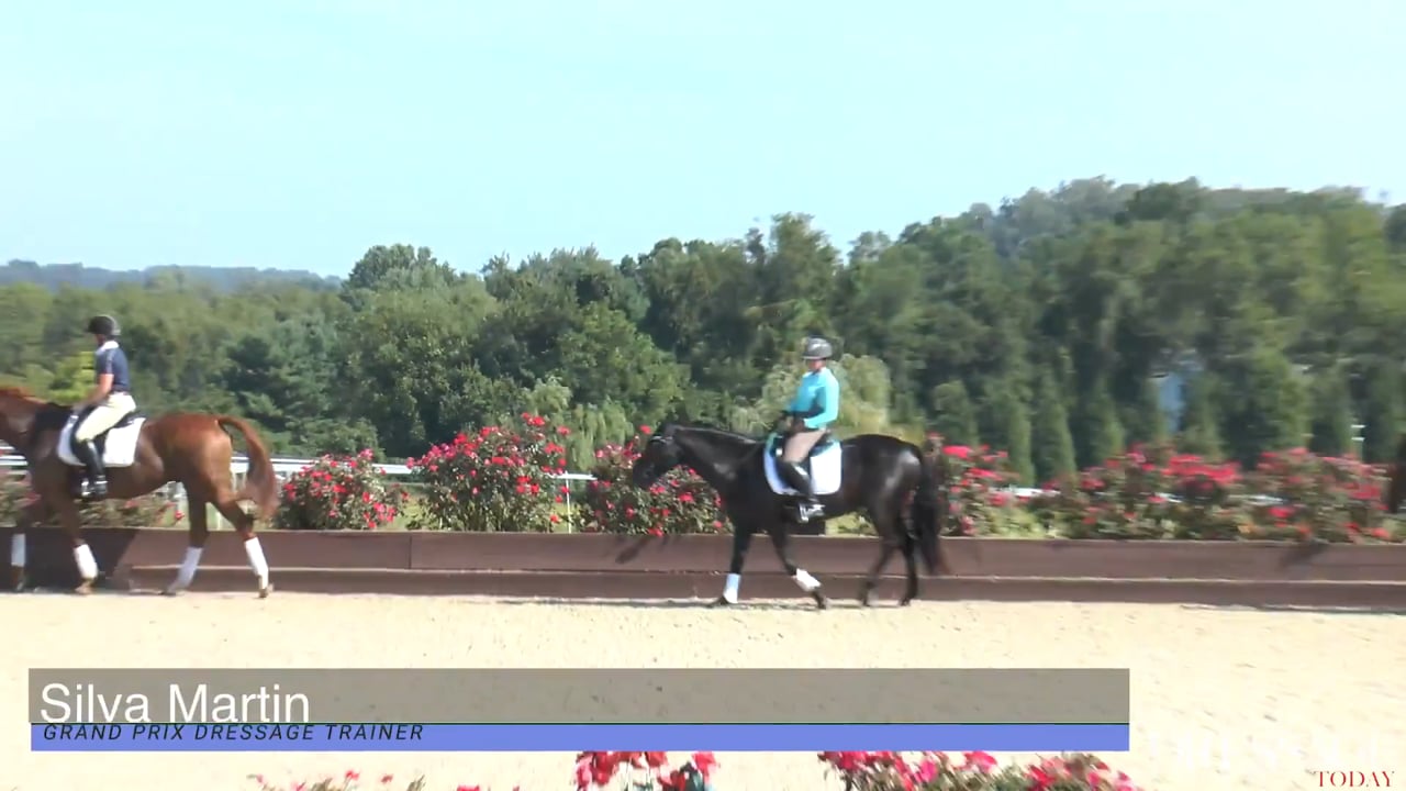Dressage Lessons | Silva Martin | SESSION 03