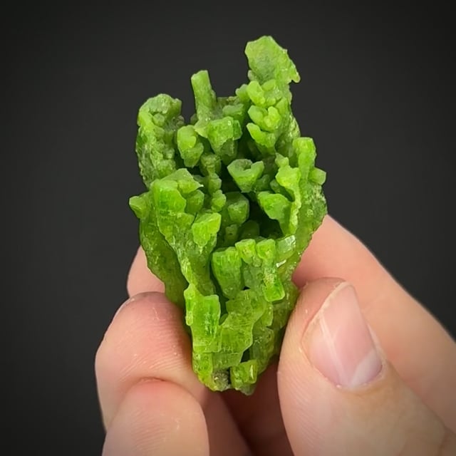 Pyromorphite (large xl, classic material) | Daoping Mine, Gongcheng Co ...