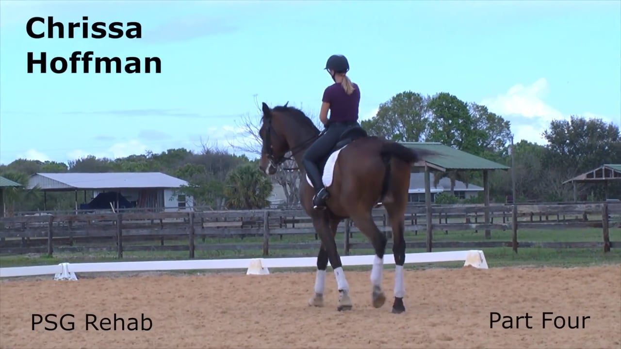 PSG Rehab | Chrissa Hoffman | PART 04