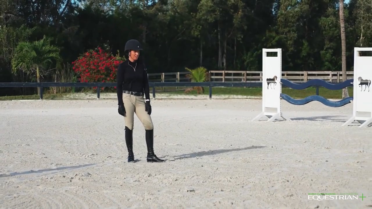 Retraining a Jumper to be a Hunter | Kristy Herrera