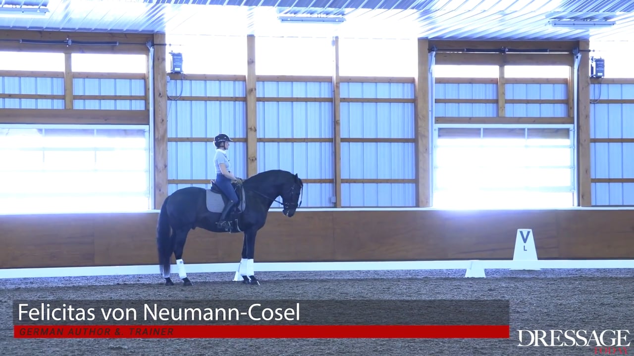 Control Shoulders & Haunches for Straightness | Felicitas von Neumann-Cosel