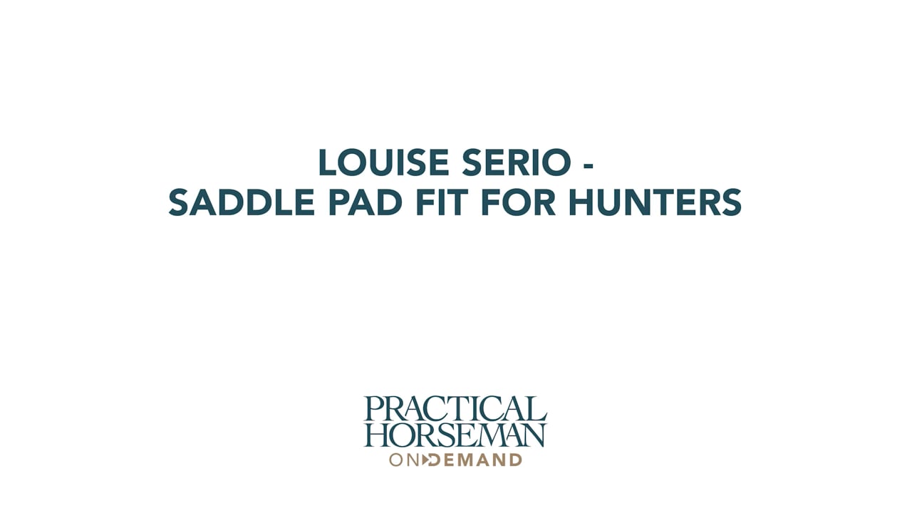 Saddle Pad Fit for Hunters | Louise Serio