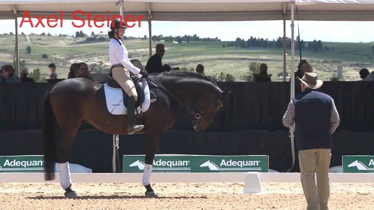 Riding Without Stirrups - Canter | Axel Steiner | PART 04