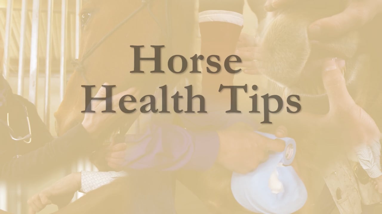 Respiration Rate | Sina Parsaye