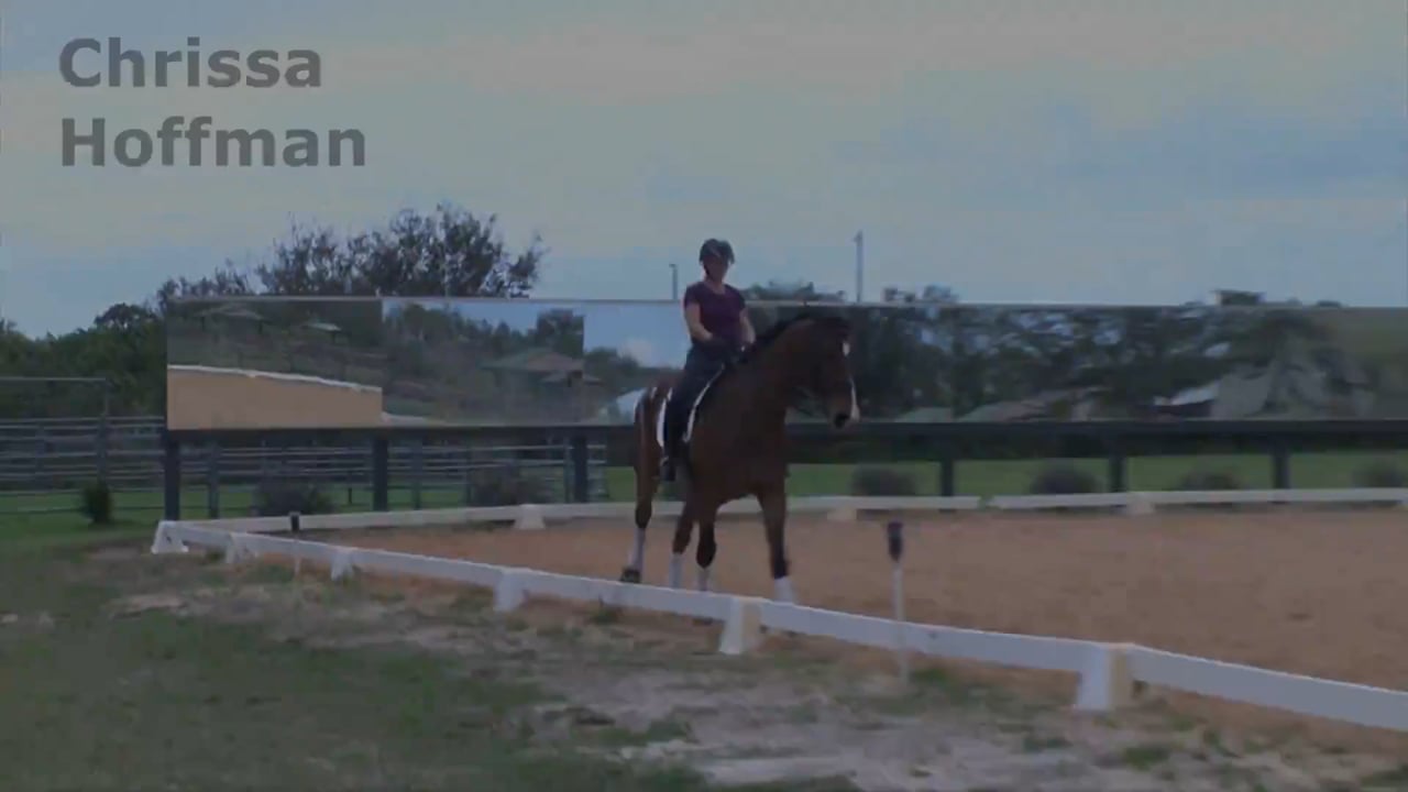 PSG Rehab | Chrissa Hoffman | PART 02