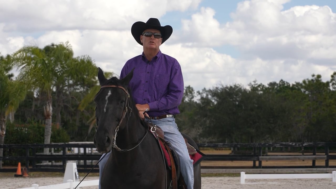 Riding a Gaited Horse in the Western Dressage | Tim Christensen