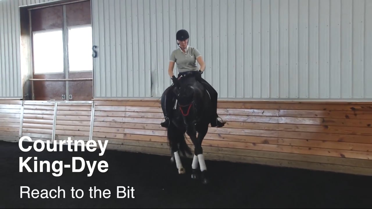 Reach to the Bit | Courtney King-Dye | PART 02