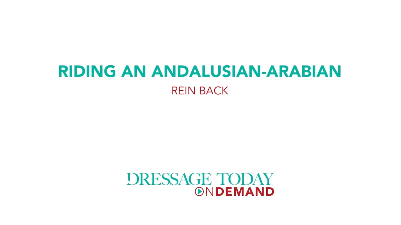 Riding an Andalusian-Arabian Rein Back | Laura Ashley Killian