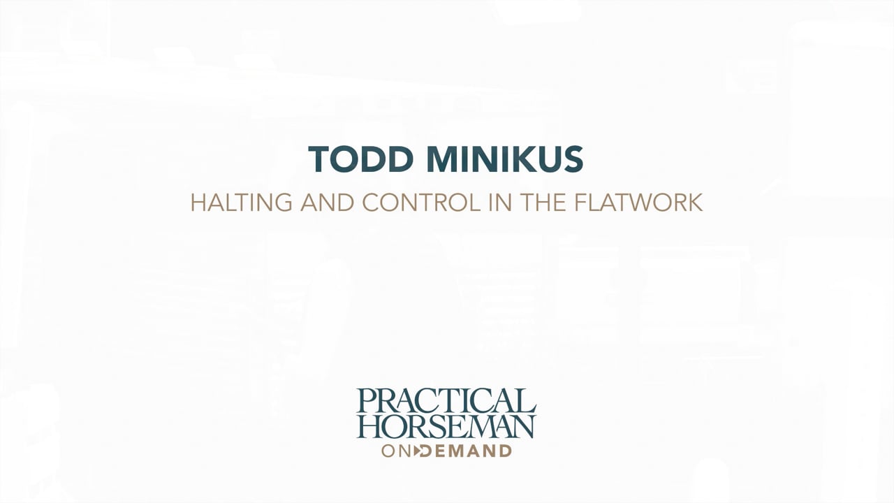 Halting and Control in the Flatwork | Todd Minikus