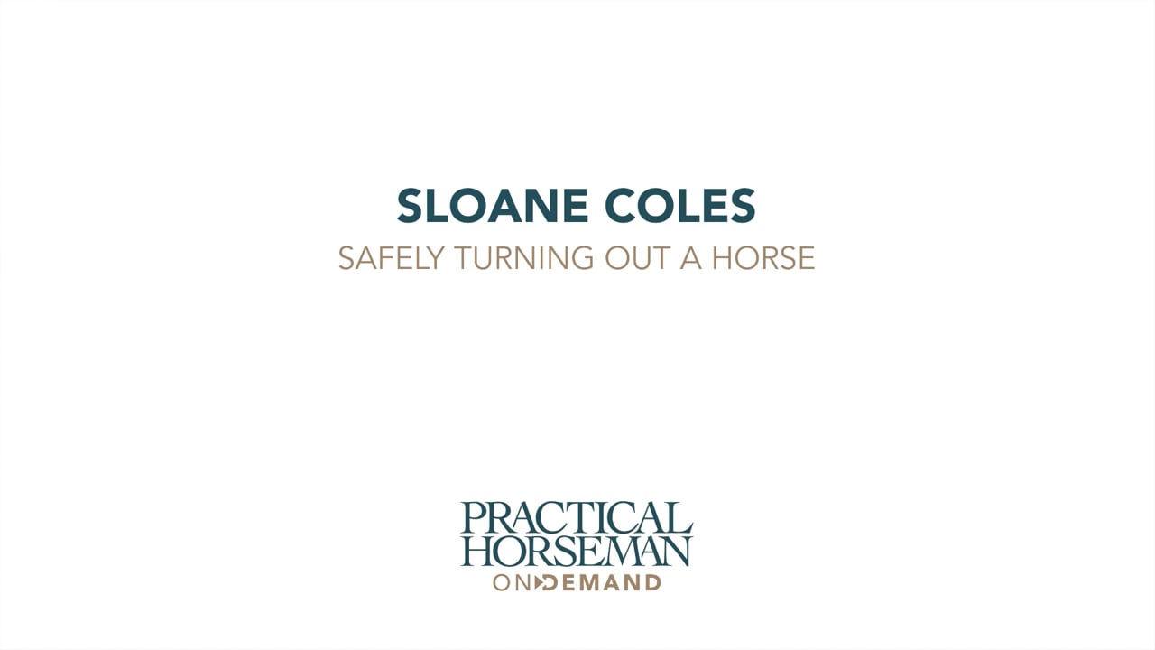 Safely Turning Out a Horse | Sloane Coles