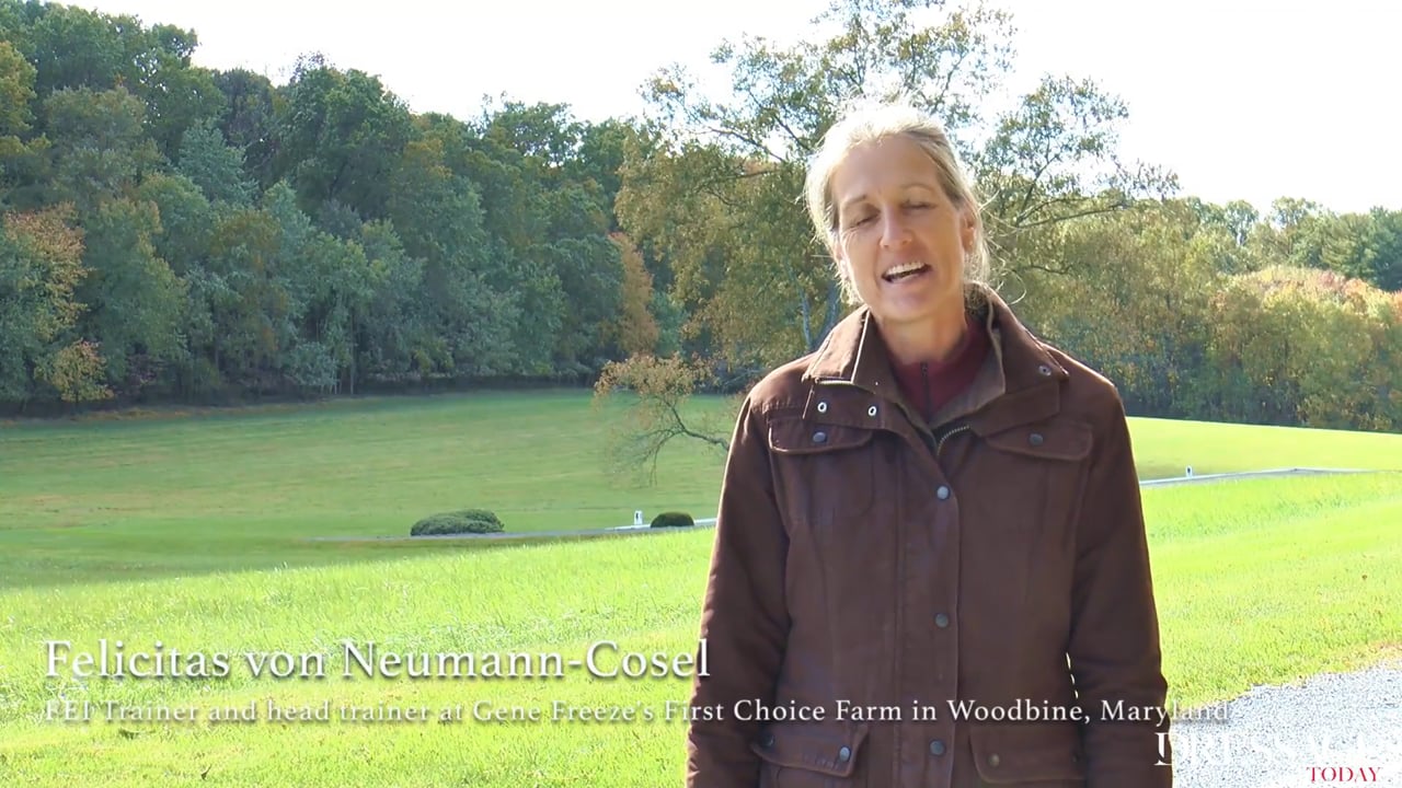 Riding Out | Felicitas von Neumann-Cosel | PART 04