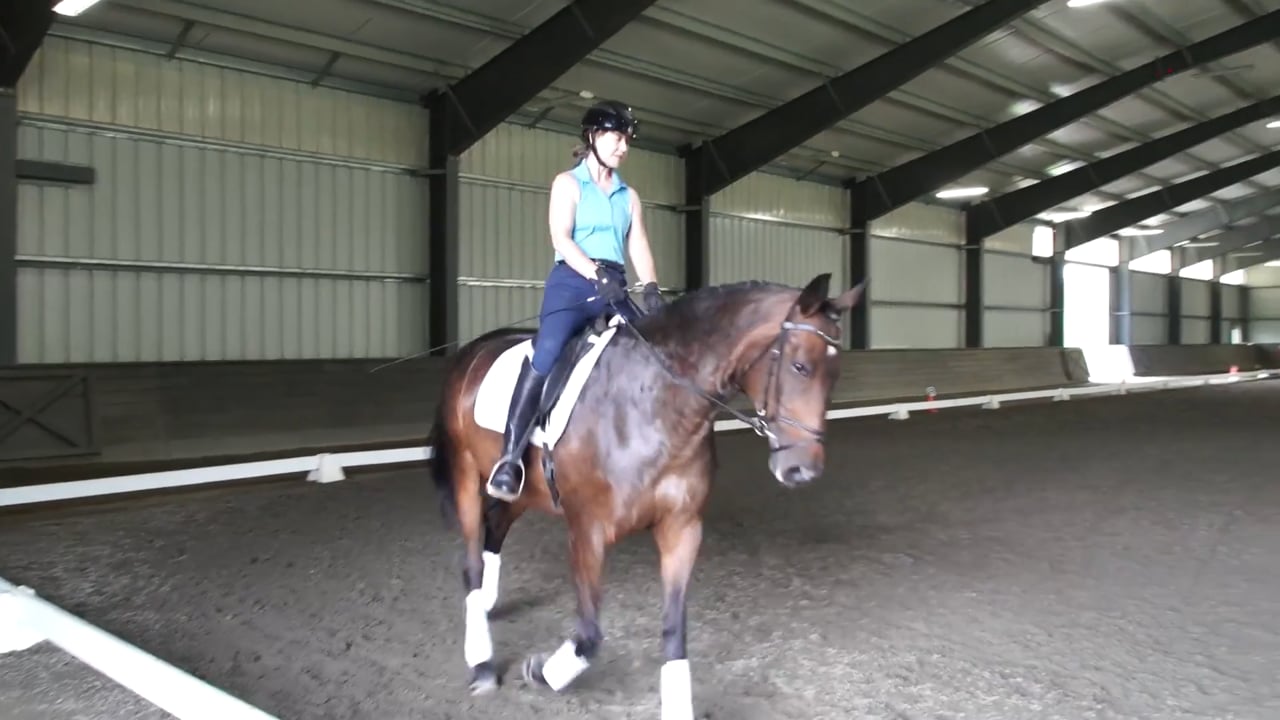 Riding the Hind Legs | Shannon Dueck | PART 01