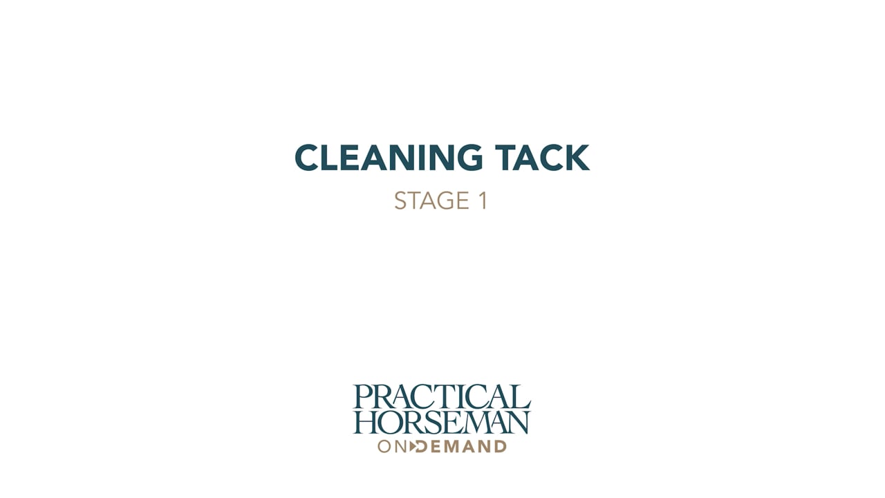 Cleaning Tack - Stage 1 | Laurie Pitts