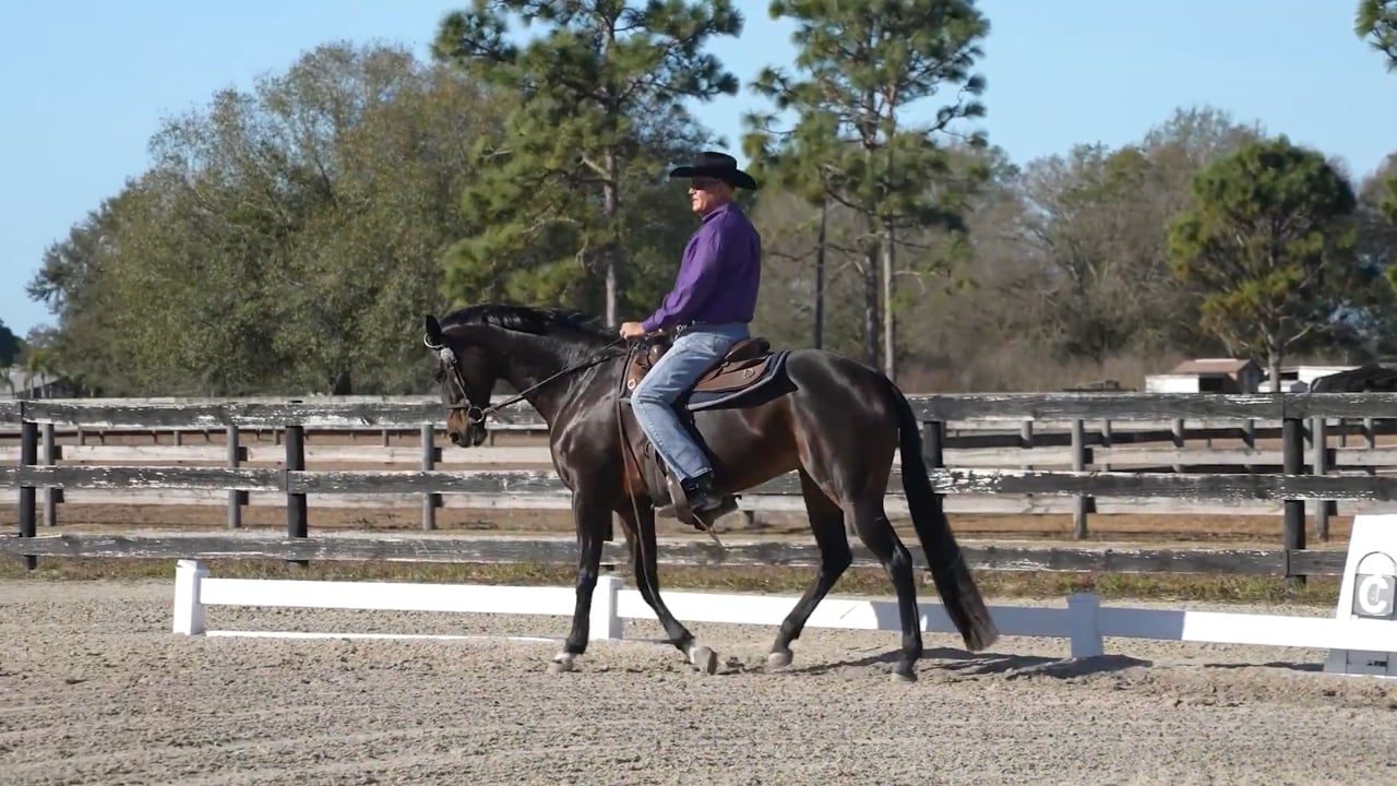 Talking Through Lengthening Strides | Tim Christensen