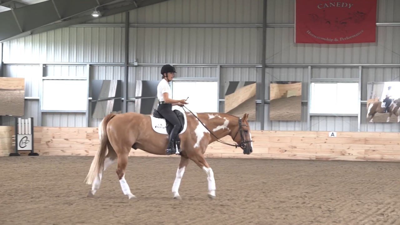 Riding the Less Motivated Horse | Chelsea Canedy