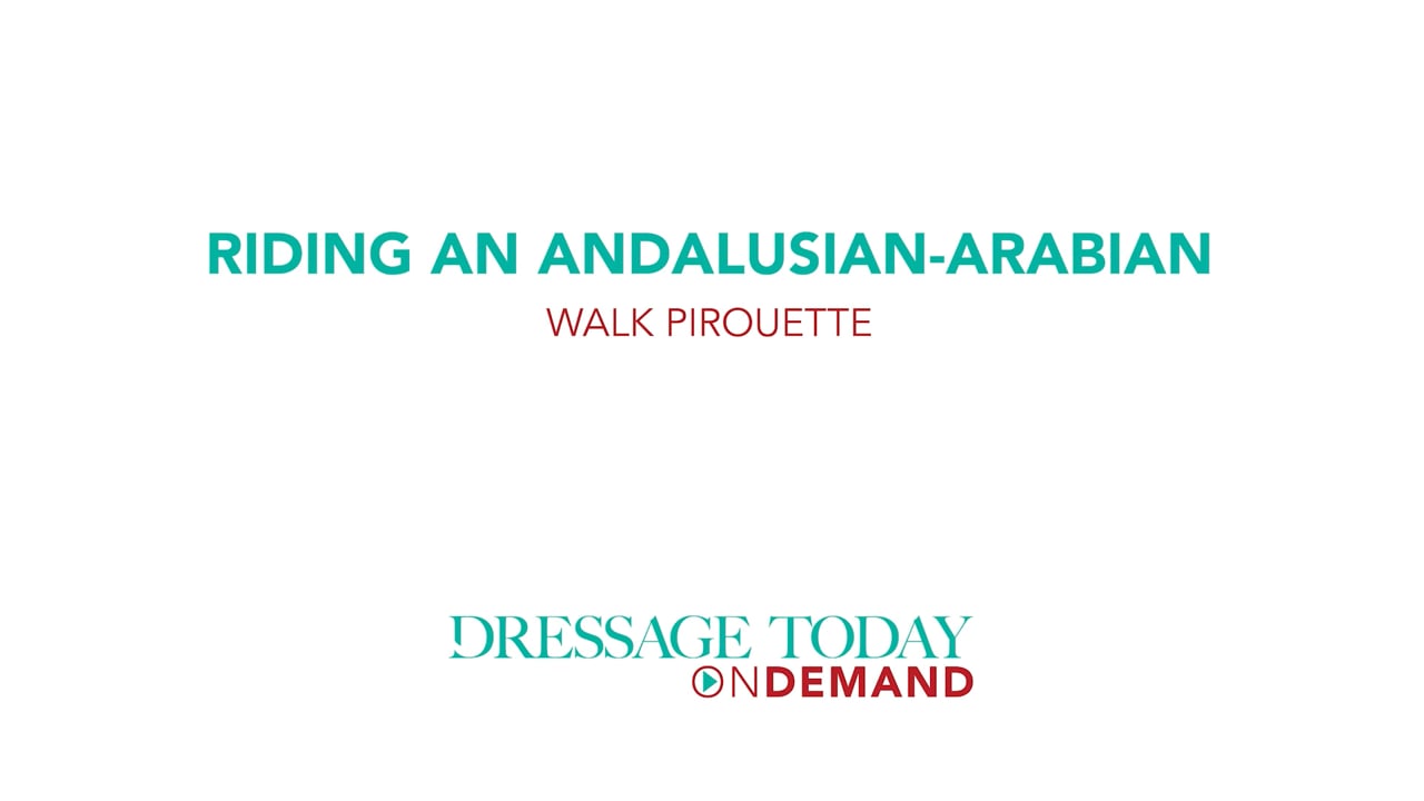 Riding an Andalusian-Arabian Walk Pirouette | Laura Ashley Killian