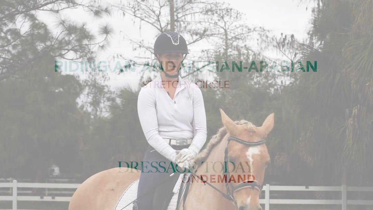 Riding an Andalusian-Arabian Stretchy Circle | Laura Ashley Killian