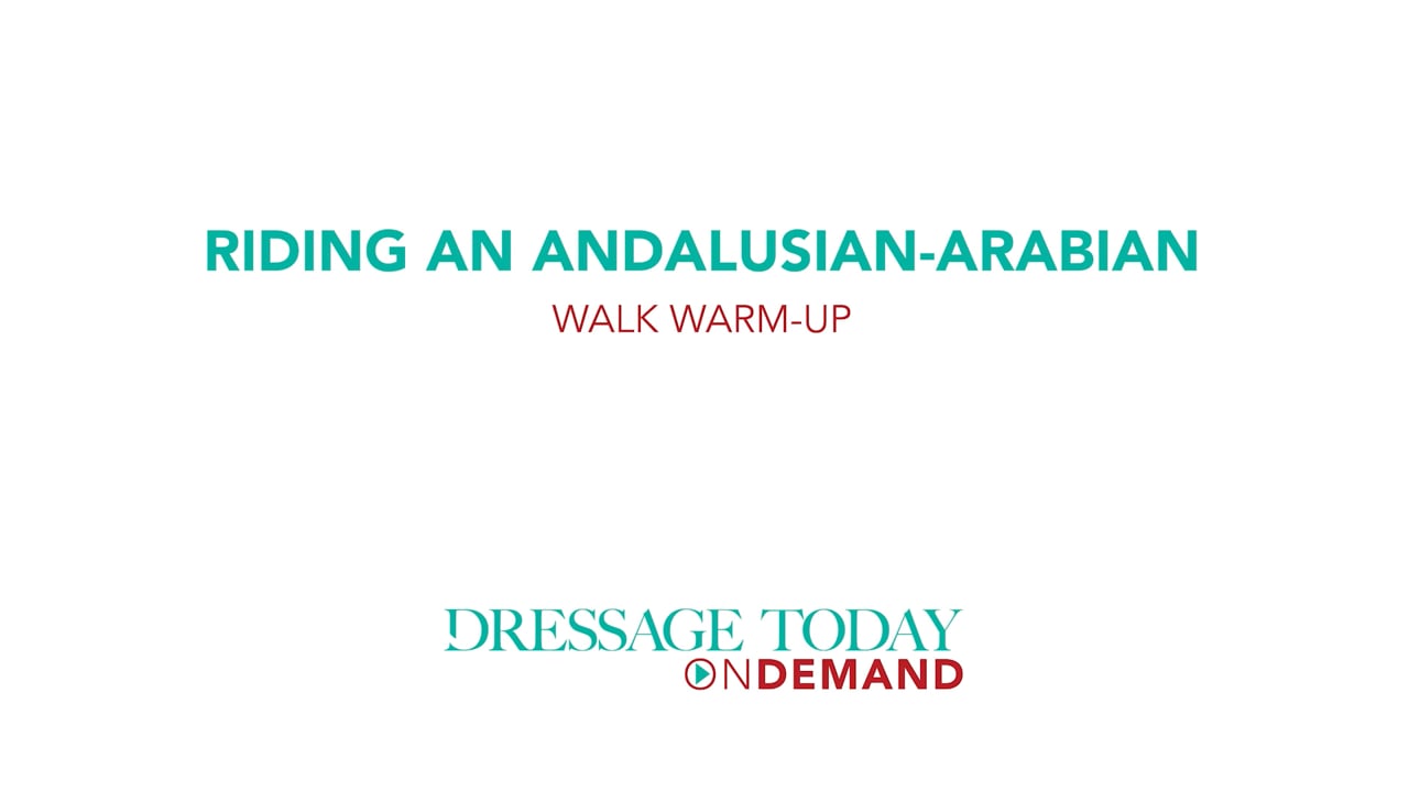 Riding an Andalusian-Arabian Walk Warm-up | Laura Ashley Killian