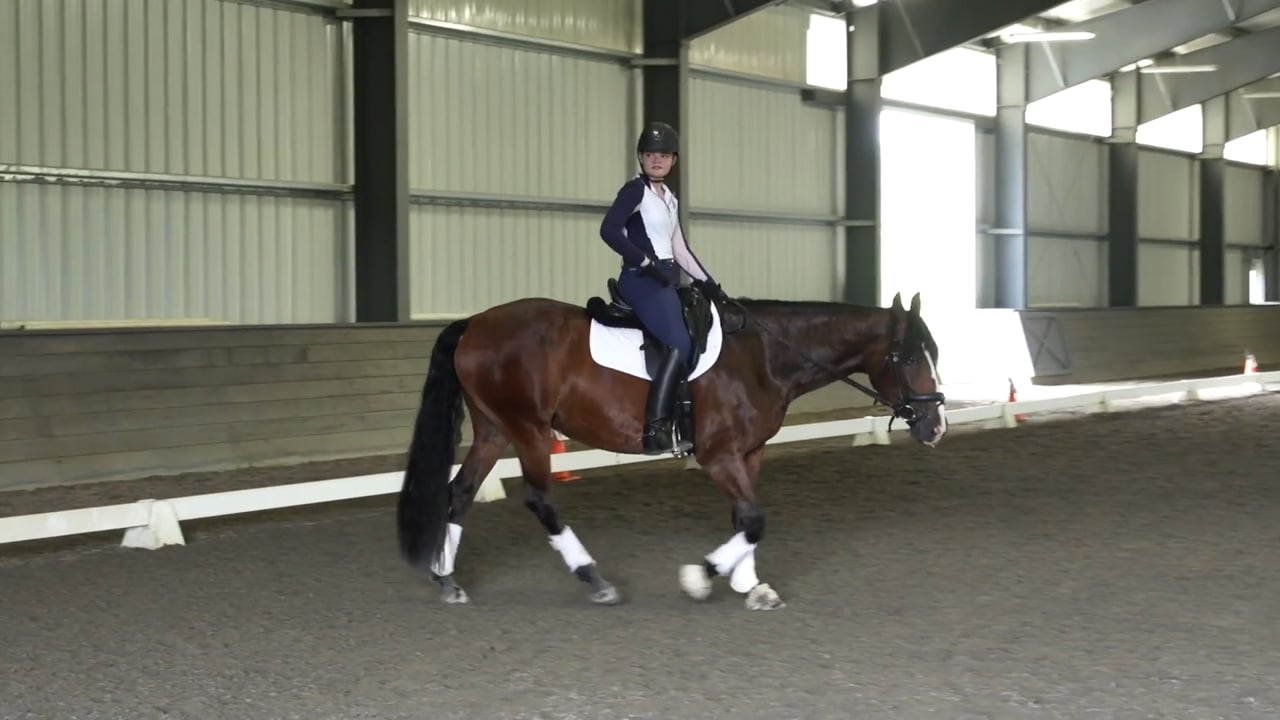 Riding Training Level Test 3 | Shannon Dueck | PART 03