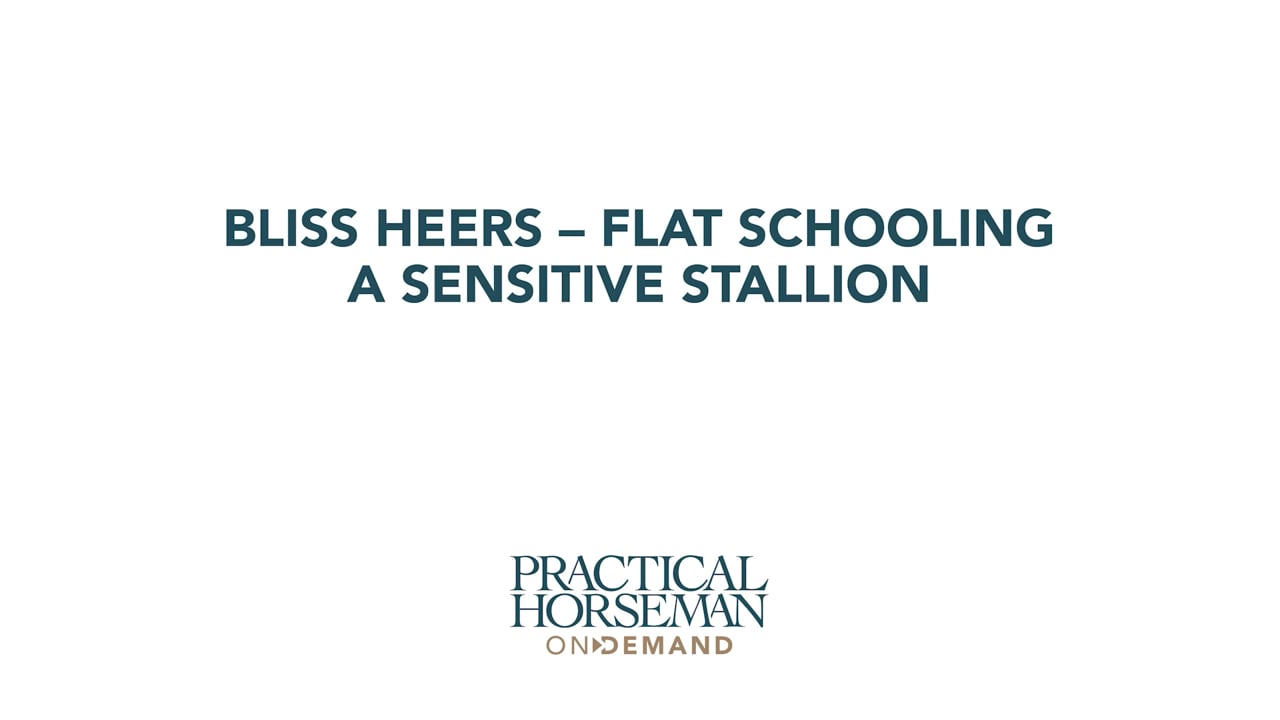 Flat Schooling a Sensitive Stallion | Bliss Heers