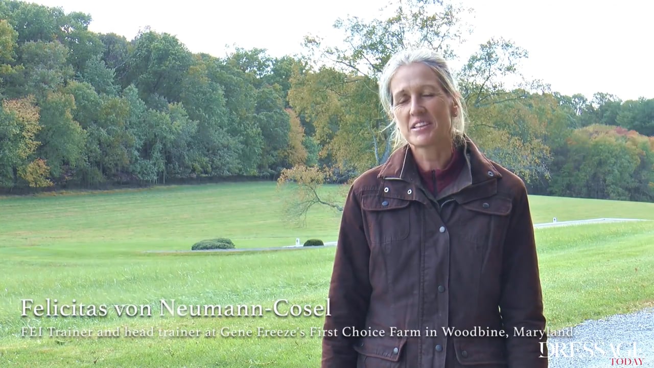 Riding Out | Felicitas von Neumann-Cosel | PART 03