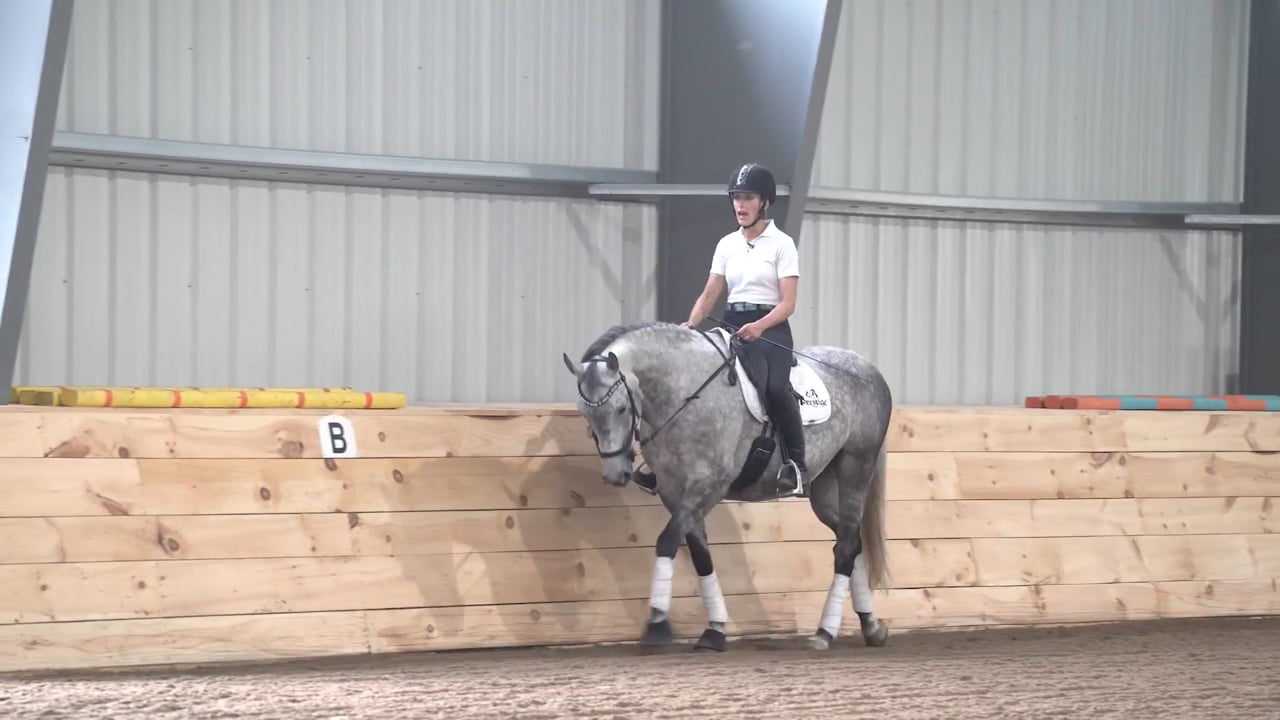 Riding the Sensitive Horse | Chelsea Canedy