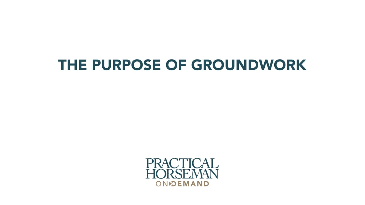 The Purpose of Groundwork | Chelsea Canedy