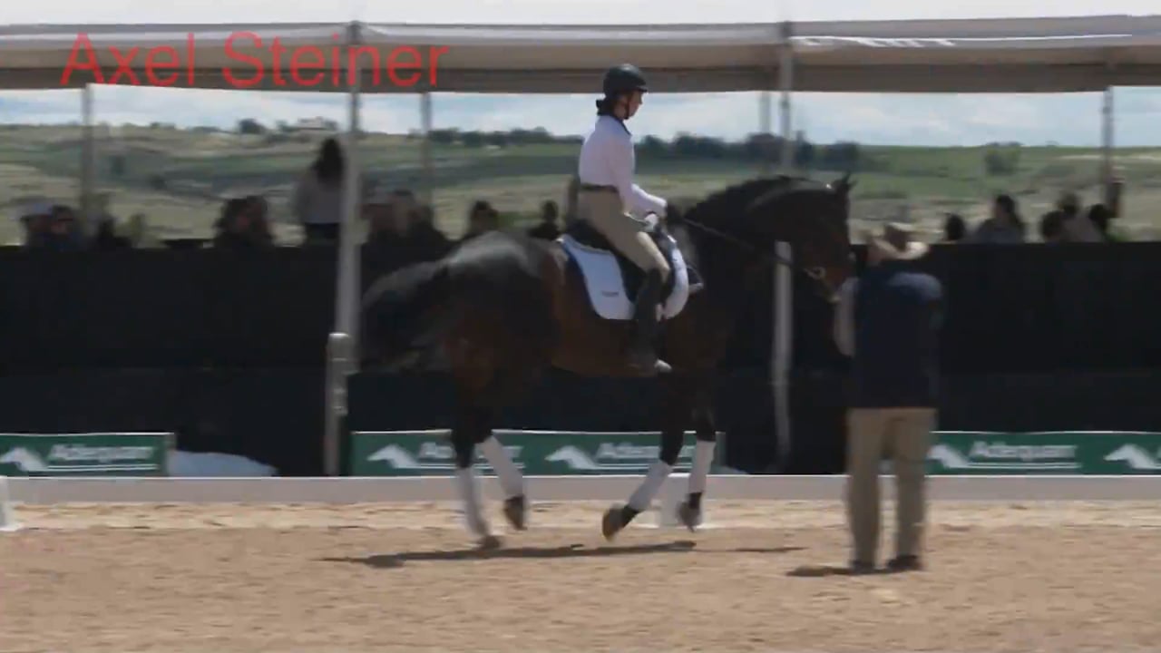 Riding Without Stirrups - Sitting Trot | Axel Steiner | PART 01