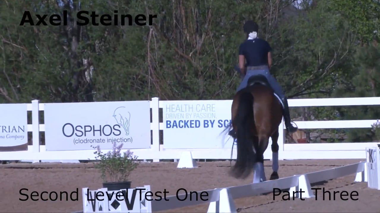 Second Level Test One Axel Steiner | PART 03