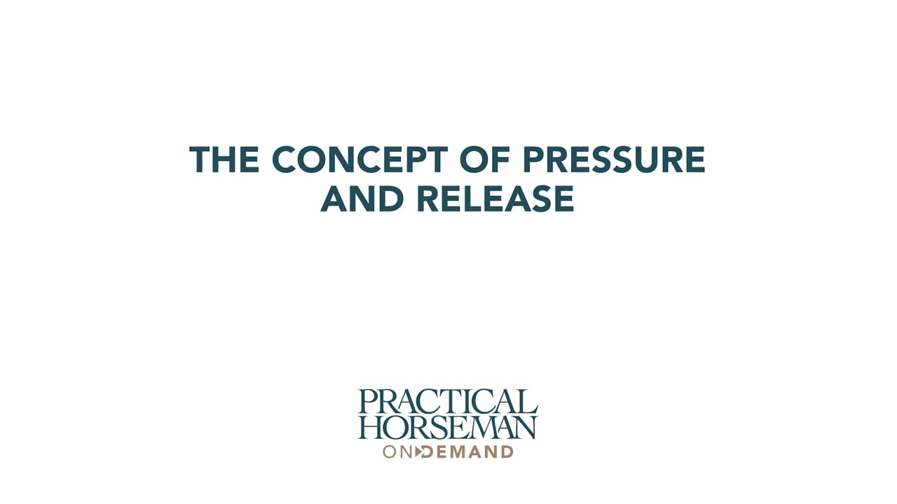 The Concept of Pressure and Release | Chelsea Canedy