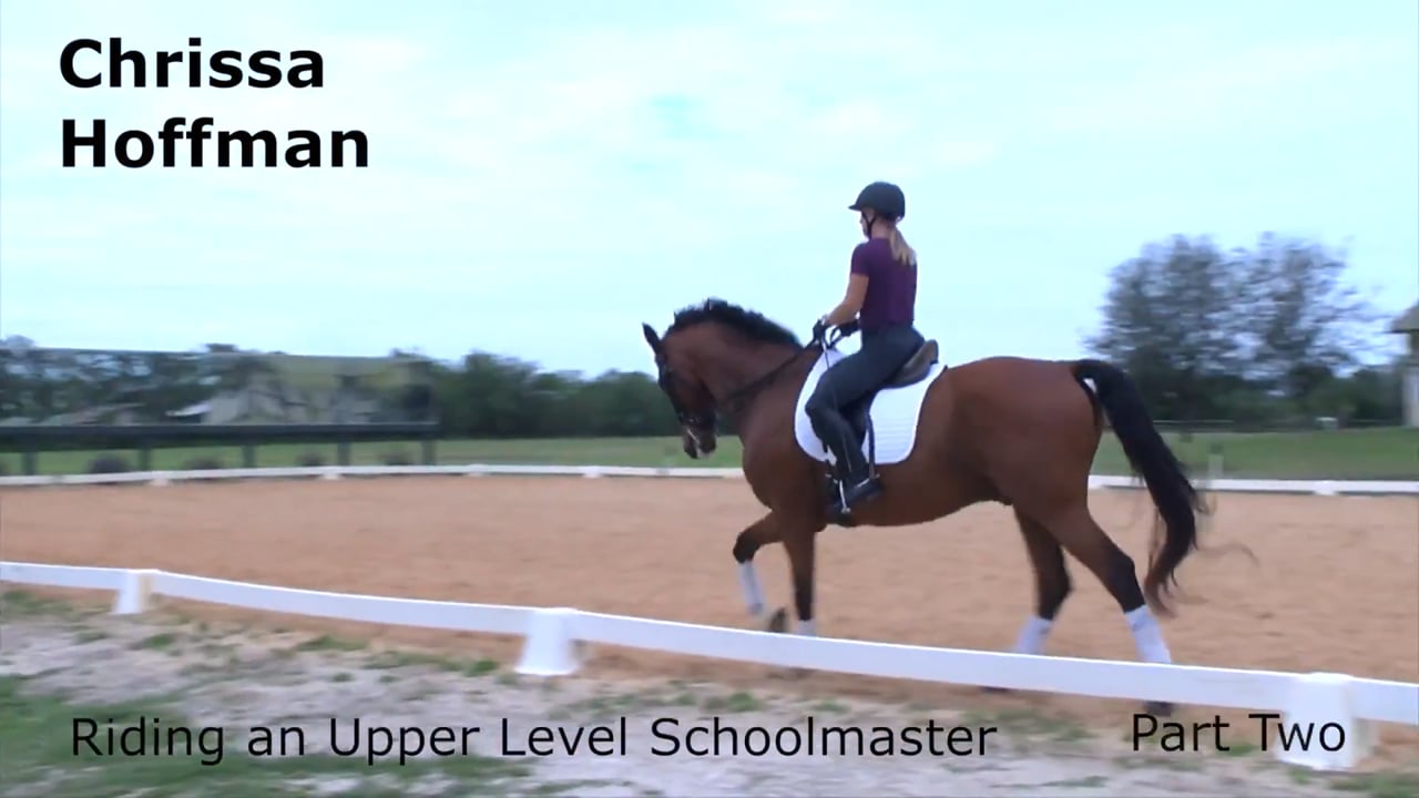 Riding an Upper Level Schoolmaster | Chrissa Hoffman | PART 02