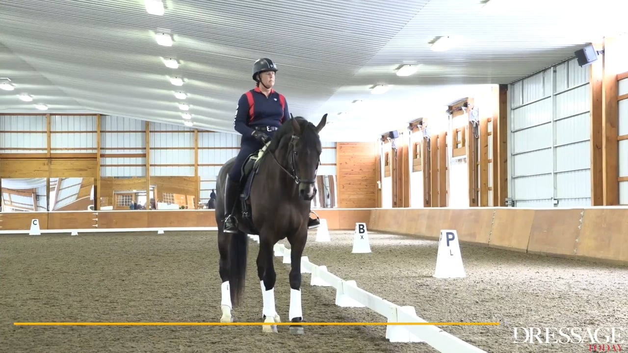 Creating Better Contact, Training Level, Uberstreichen - 1/2012, FarmVet/USDF Ad