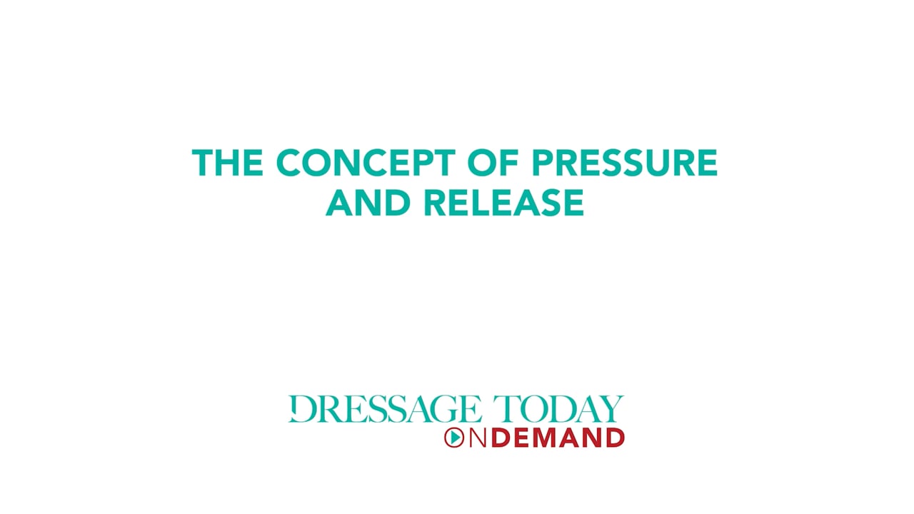 The Concept of Pressure and Release | Chelsea Canedy