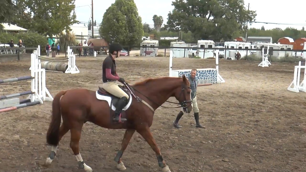 Riding Tight Turns in a Jumper Course | Todd Minikus