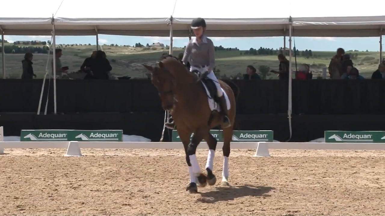 Single Changes | Axel Steiner | PART 01