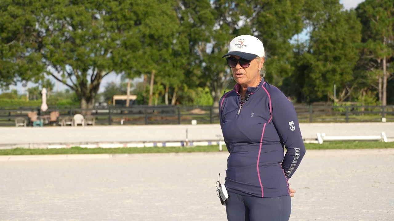 Sequence of the Gaits - The Trot | Lena Wedenmark