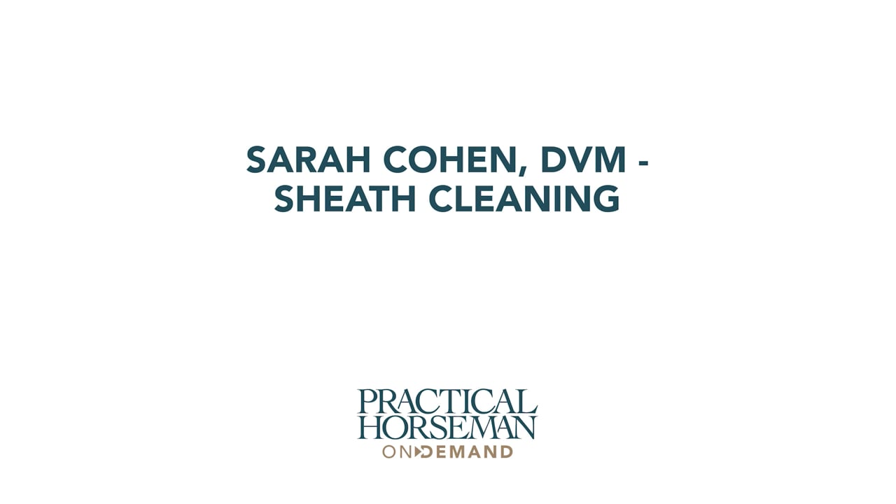 Sheath Cleaning | Sarah Cohen, DVM