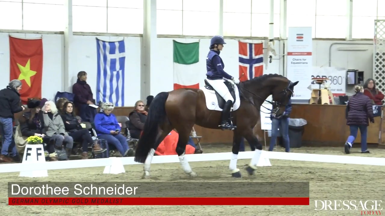 Intermediate 1 Freestyle Performed | Axel Steiner