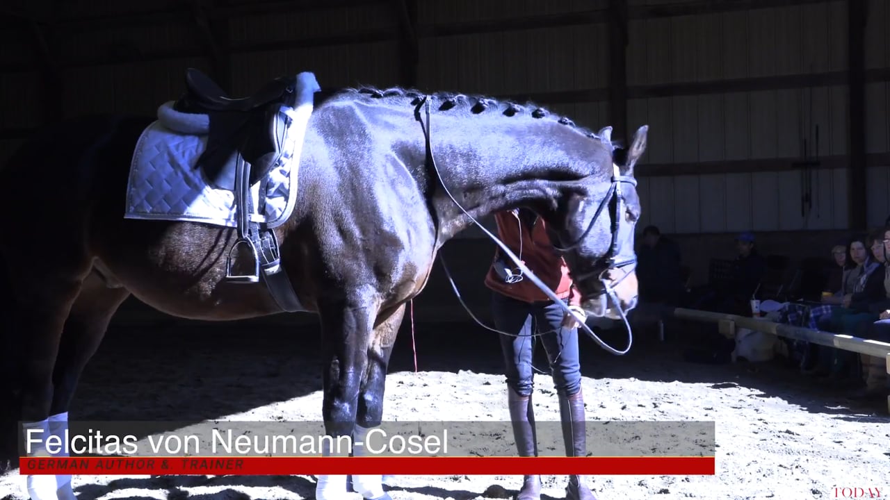 Overcoming Injuries | Felicitas von Neumann-Cosel | PART 03