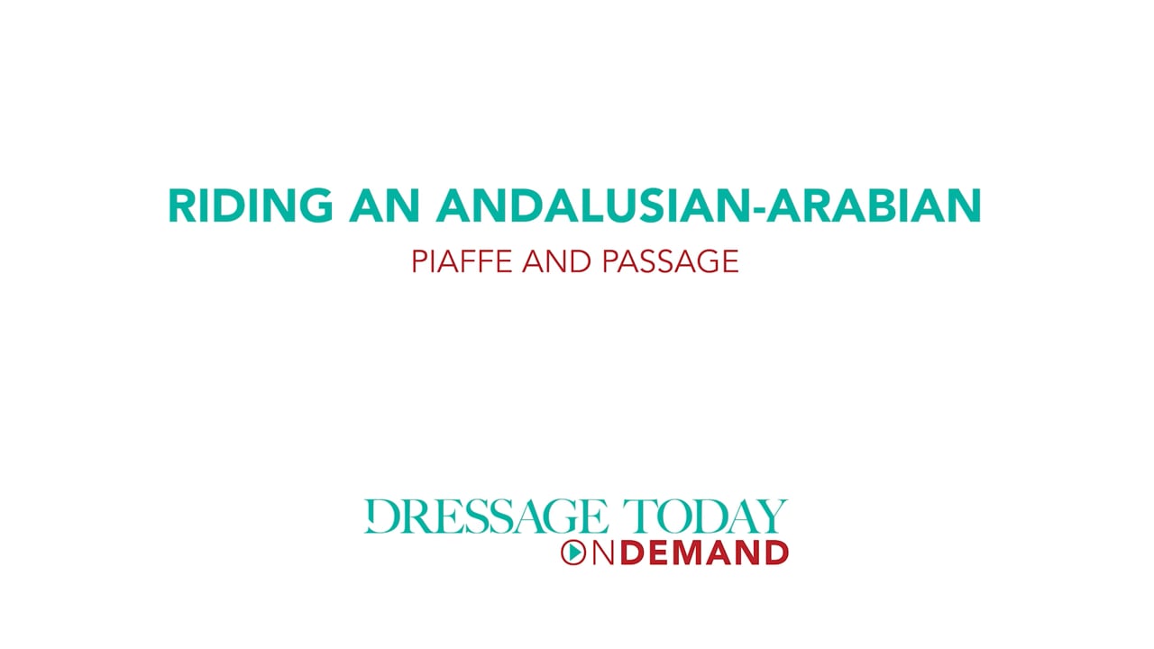 Riding an Andalusian-Arabian Piaffe and Passage | Laura Ashley Killian