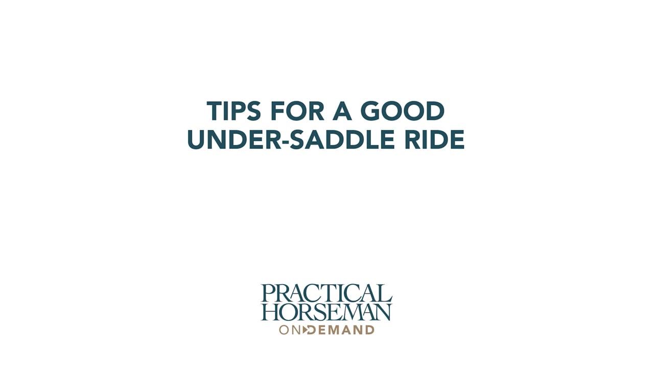 Tips for a Good Under-Saddle Ride | Holly Hugo-Vidal