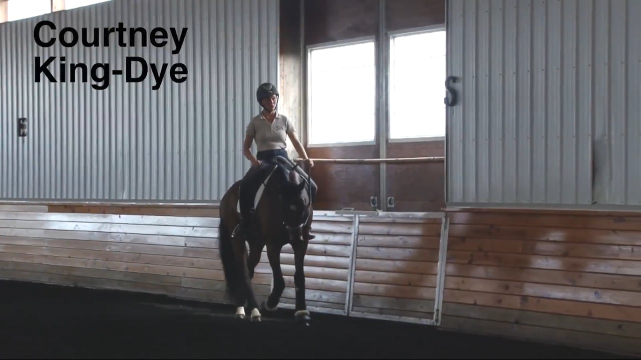 The Bend In Transitions | Courtney King-Dye | PART 02