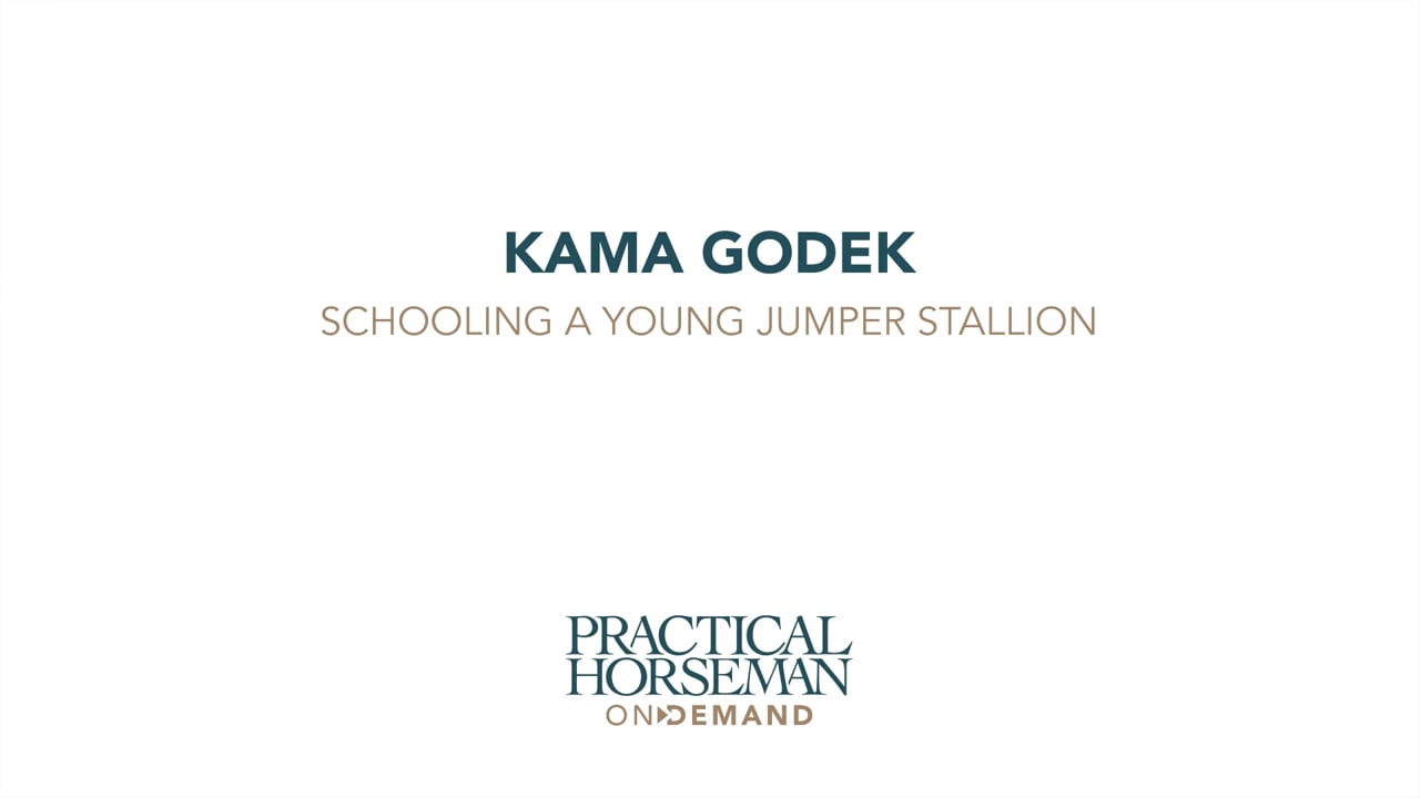 Schooling a Young Jumper Stallion | Kama Godek