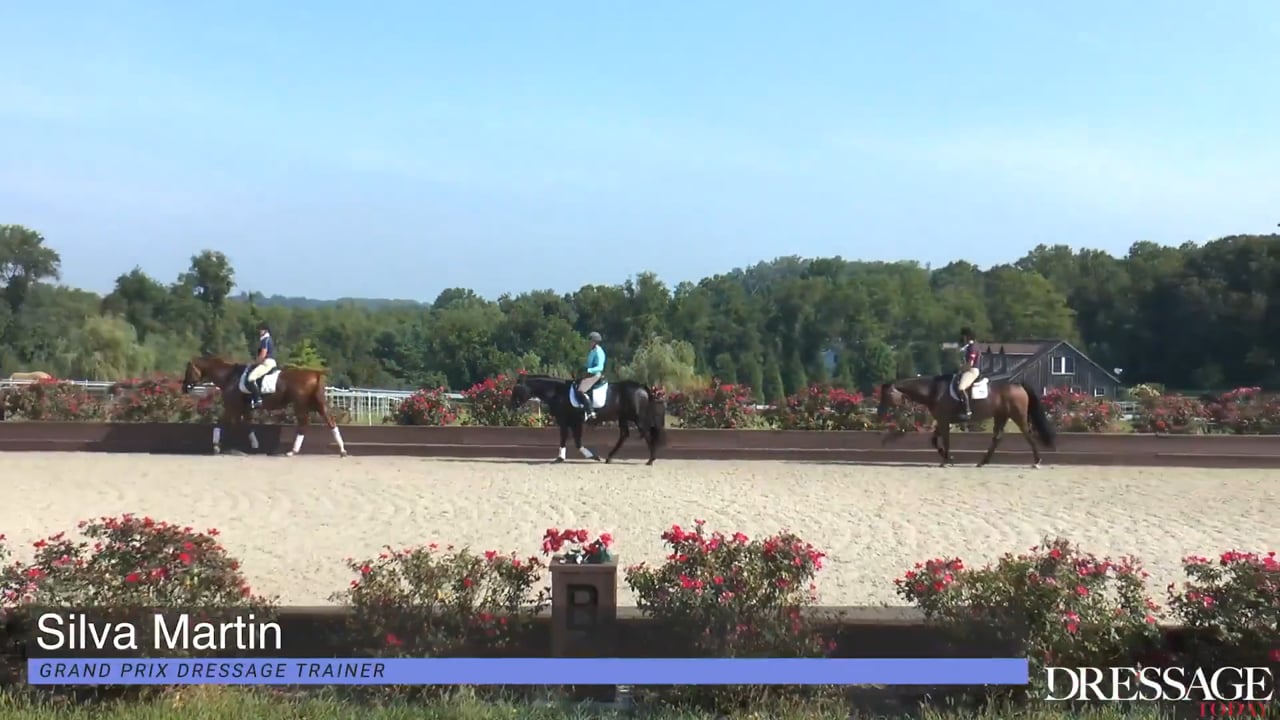 Practice Dressage Tests Group 2 | Silva Martin