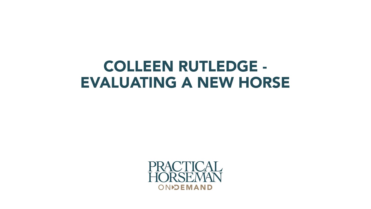 Evaluating a New Horse | Colleen Rutledge