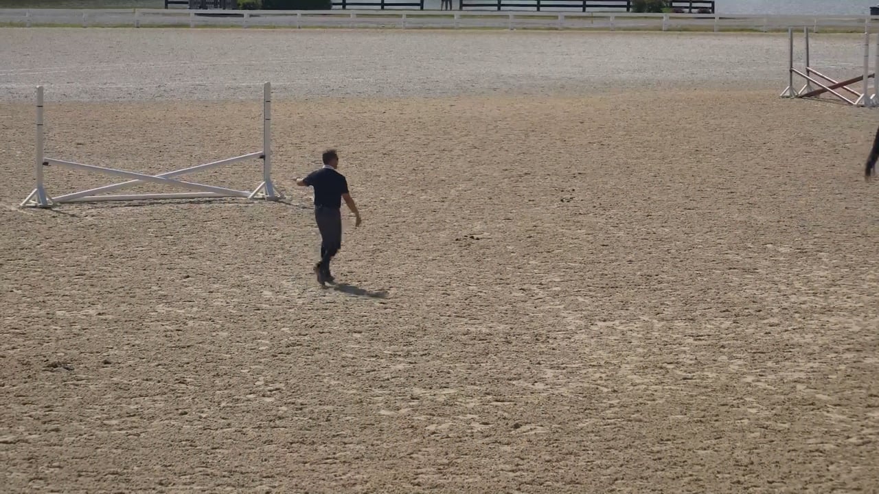 Straightness and Rhythm to a Distance in Canter | Ronny Riemer | PART 03