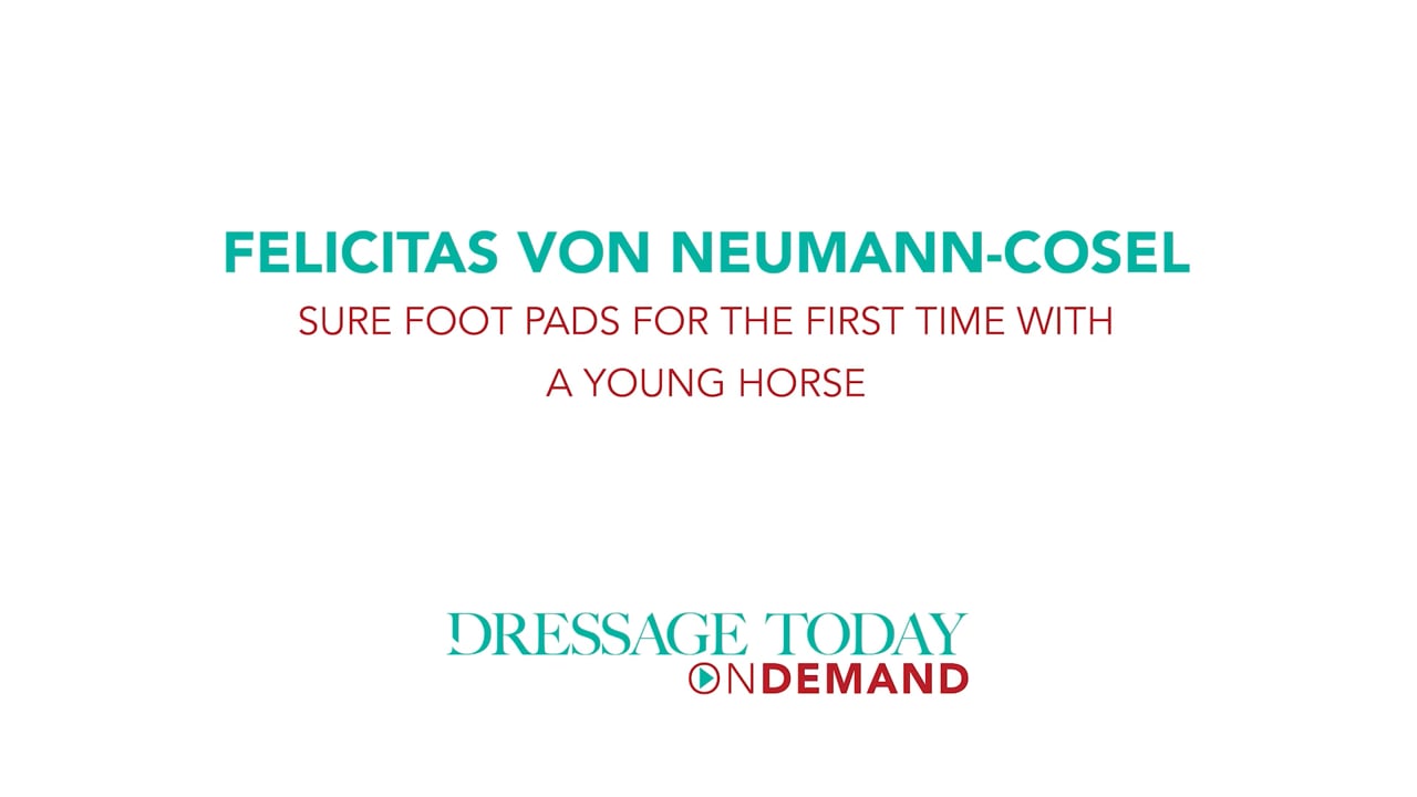 Sure Foot Pads with a Young Horse | Felicitas von Neumann-Cosel