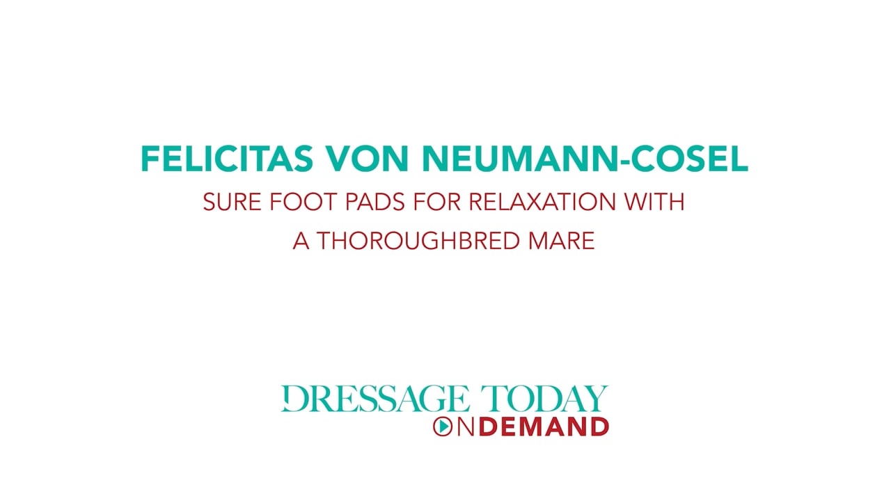 Sure Foot Pads for Relaxation - Thoroughbred Mare | Felicitas von Neumann-Cosel